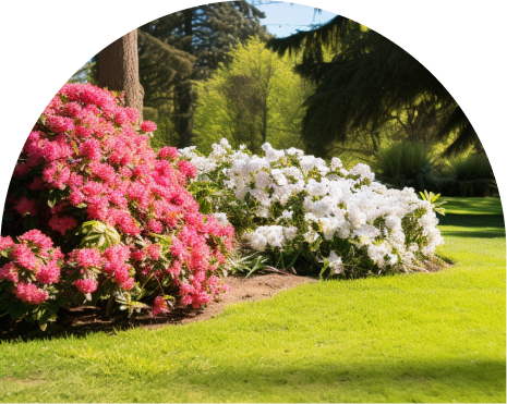 Indulge in Luxury, Surrounded by Nature